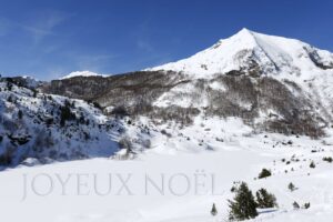 Un Noël sous le signe de la photographie et du partage