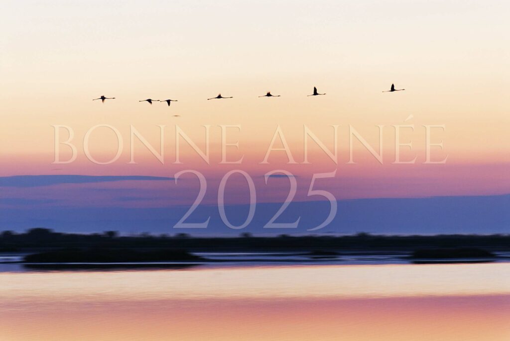 Année 2025