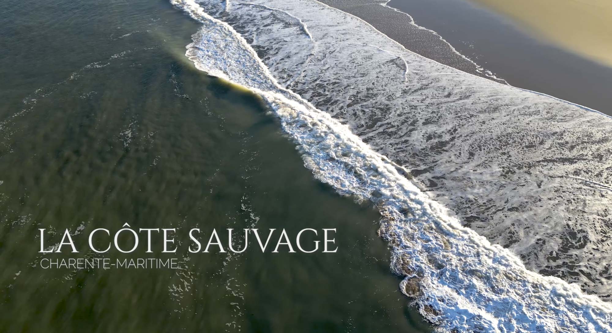 Lire la suite à propos de l’article Instant Nature : La Côte Sauvage en Charente-Maritime